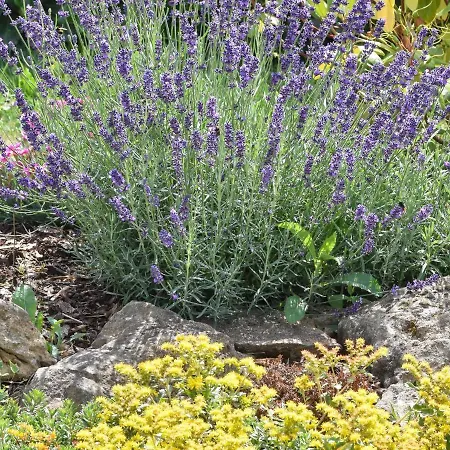 In Forest With Terrace & Bbq Сasa de vacaciones Berlingen