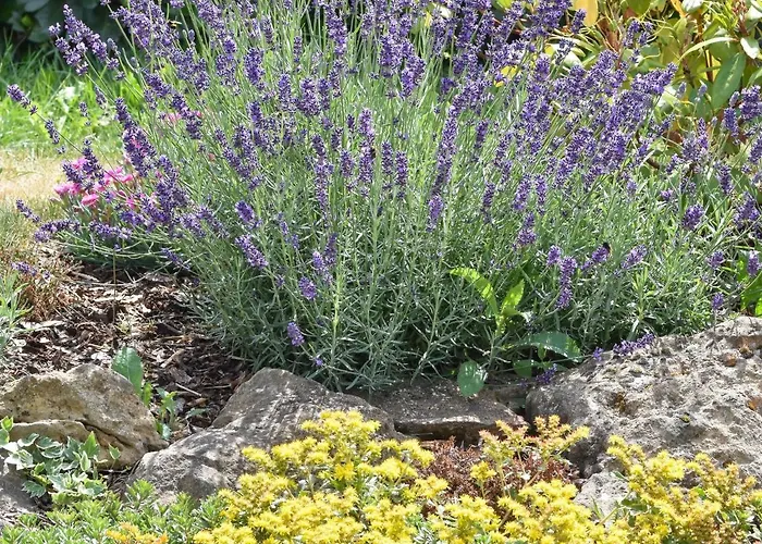 In Forest With Terrace & Bbq Casa de Férias Berlingen